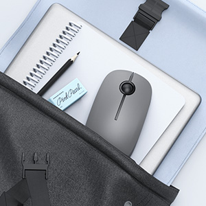 gray mouse