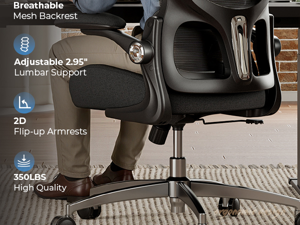 Ergonomic Desk Chair
