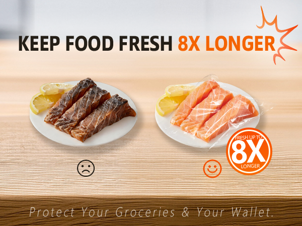 vacuum sealer for food
