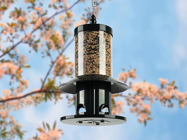 birdfeeder