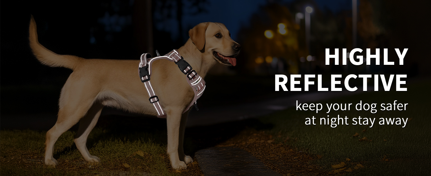 dog harness for large dog