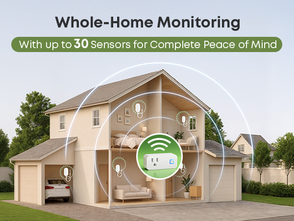 Whole-Home Monitoring