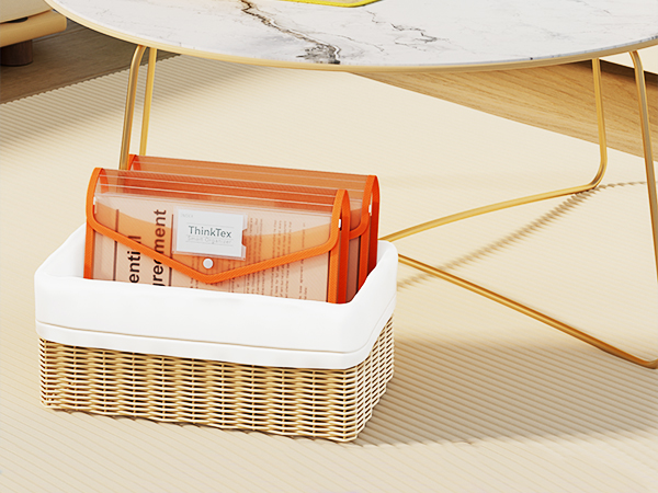 ThinkTex Plastic Expanding File Folder