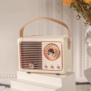 portable wireless bluetooth speaker