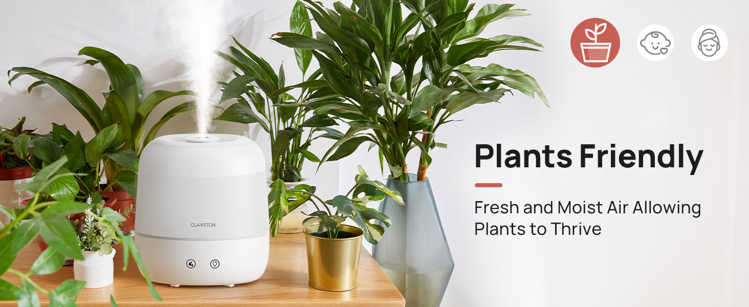 Plants Friendly. Fresh and Moist Air Allowing Plants to Thrive