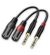 LanSenSu XLR to 1/4 TRS Stereo Adapter,XLR Male to 1/4 Inch (6.35mm) Stereo Balanced Microphone S...