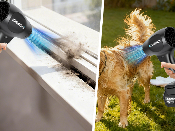 Cordless Leaf Blower