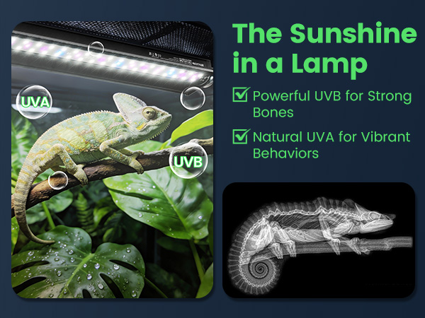 UVB LED Reptile Light