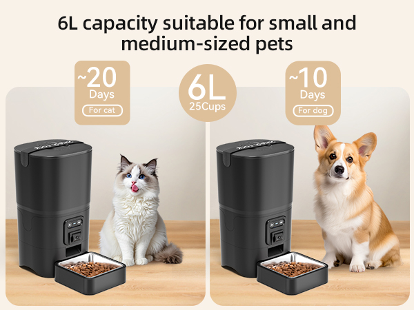 automatic cat feeder