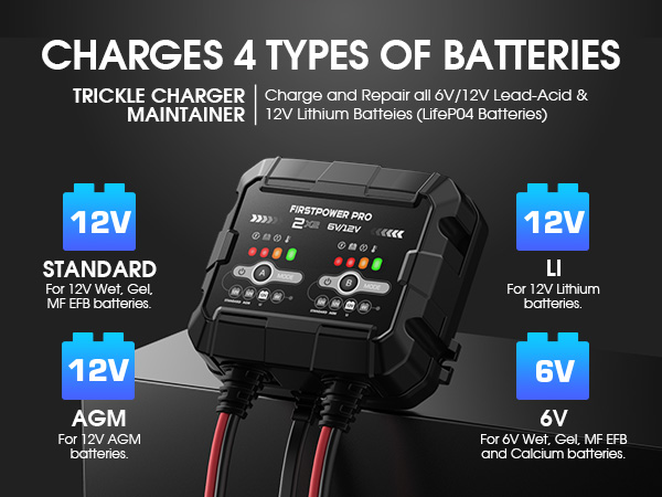 4A (2A/Bank) Car Battery Charger