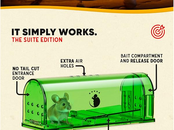 Humane Mouse Traps