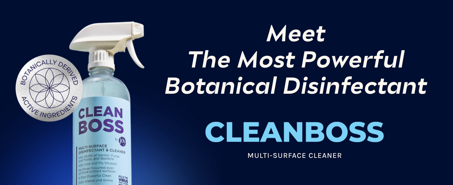 CleanBoss