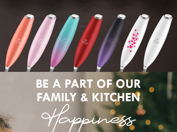 Frother No Stand + Batteries