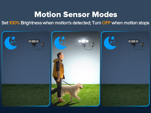 Motion Sensor Mode