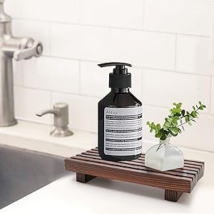 kitchen sink soap tray