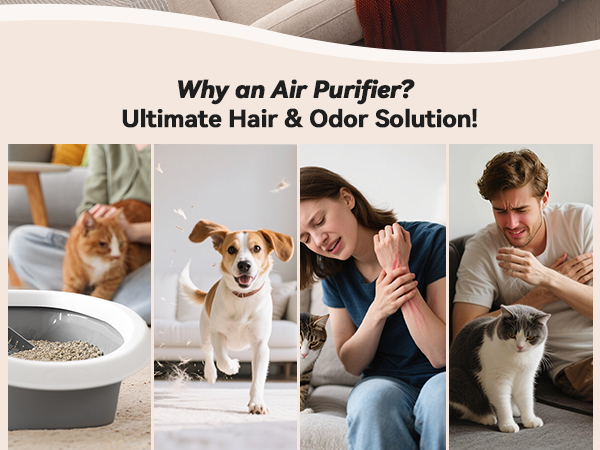air purifier for home pets