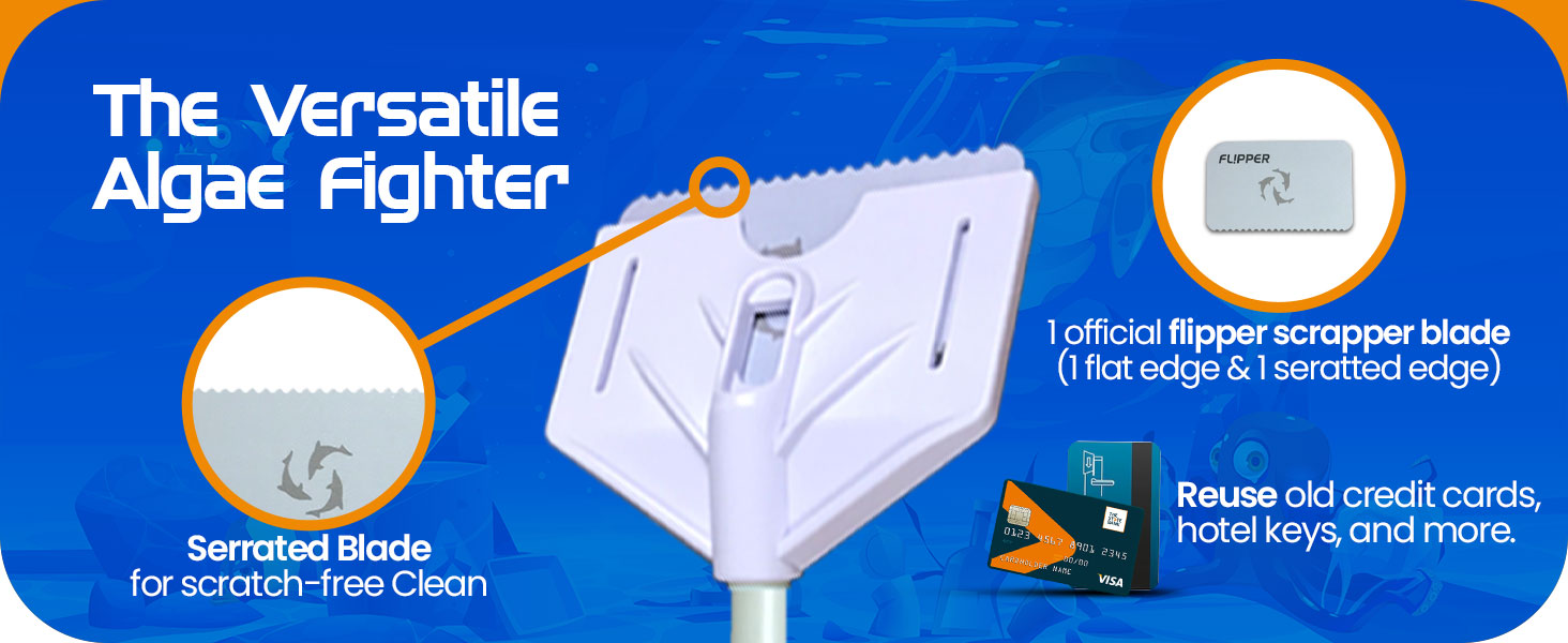 brown algae remover aquarium fish tank cleaner for scraper alge scrubber coralline aquariums