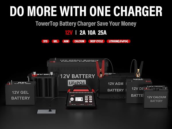 LiFePO4 battery charger