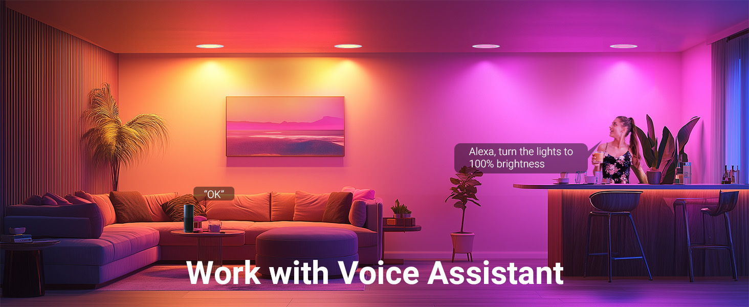 Voice Control APP Control