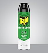 Raid