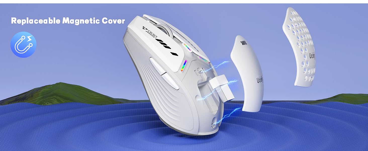 mouse