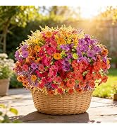 DealBeta Artificial Flowers Faux Plants Outdoor, 18 Bundles Plastic Faux Flower with Eucalyptus L...