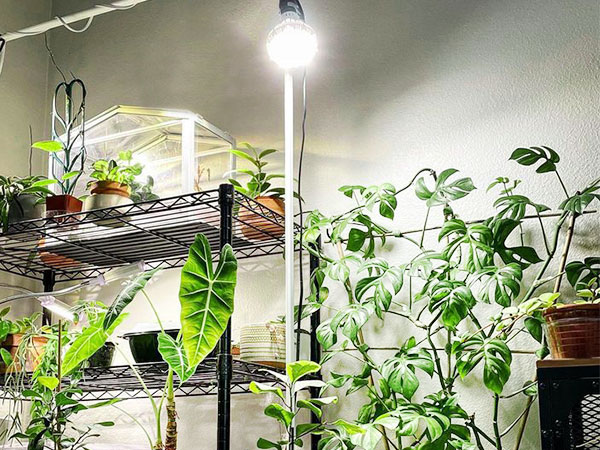 Home Aesthetic Design