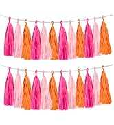 Rose red Pink and Orange Tassel Garland Banner Paper Tassels for Party Decorations,Pack of 15