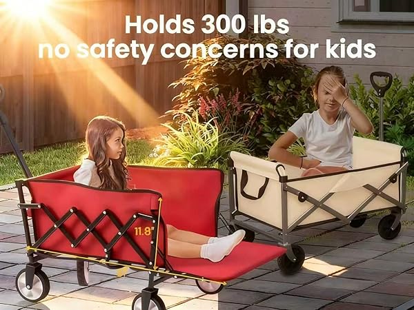 holds 300lbs