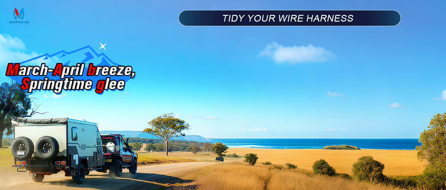 mictuning Trailer Cord Christmas