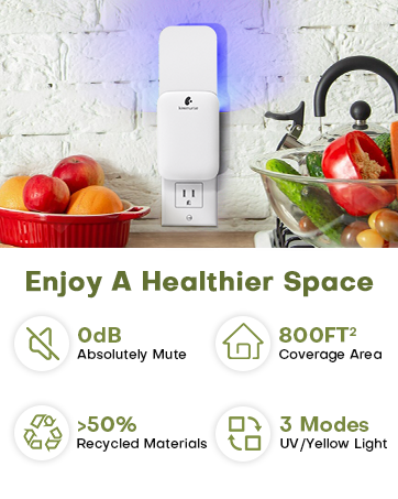 Enjoy A Healthier Space