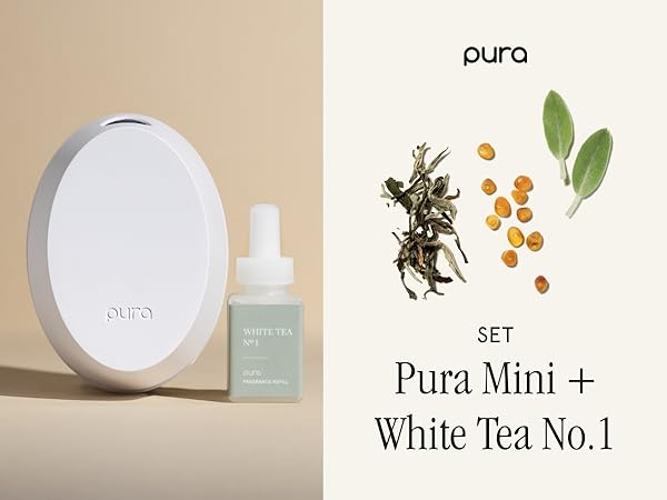 Pura Mini and Whit Tea 