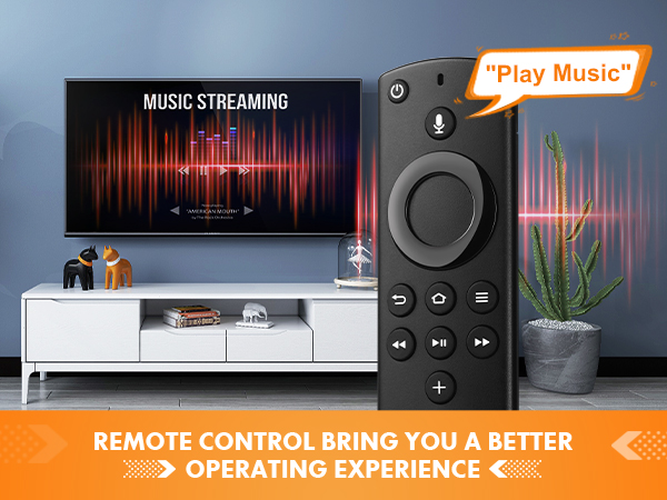 Replacement Voice Remote