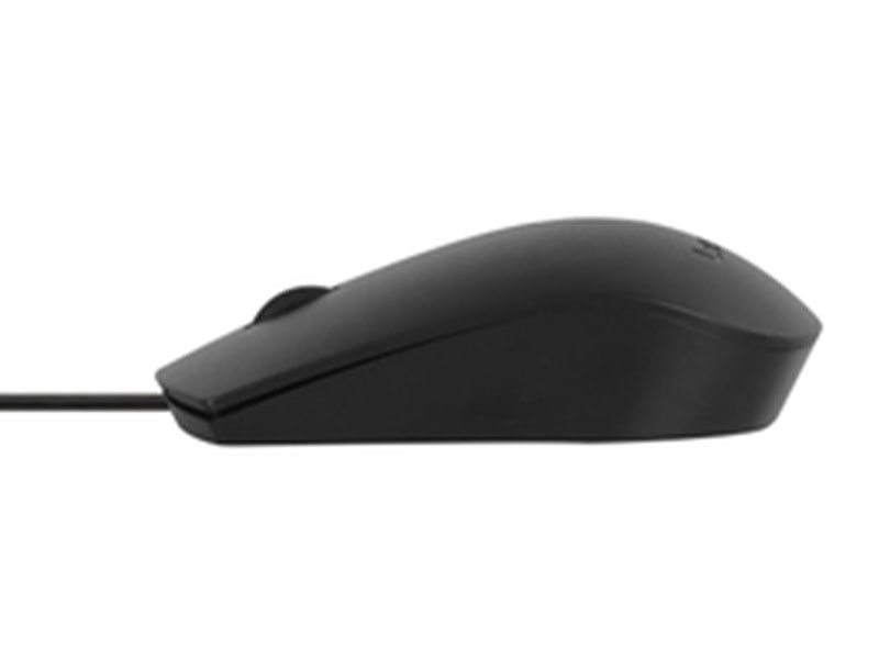 Ergonomic Comfort