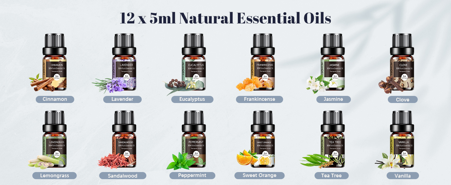 500 ML Diffuser for Home