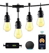 HBN Smart Outdoor Dimmable Patio Light LED Lights Smart String Light - 48ft, 24 Round Bulbs, 2.4 ...