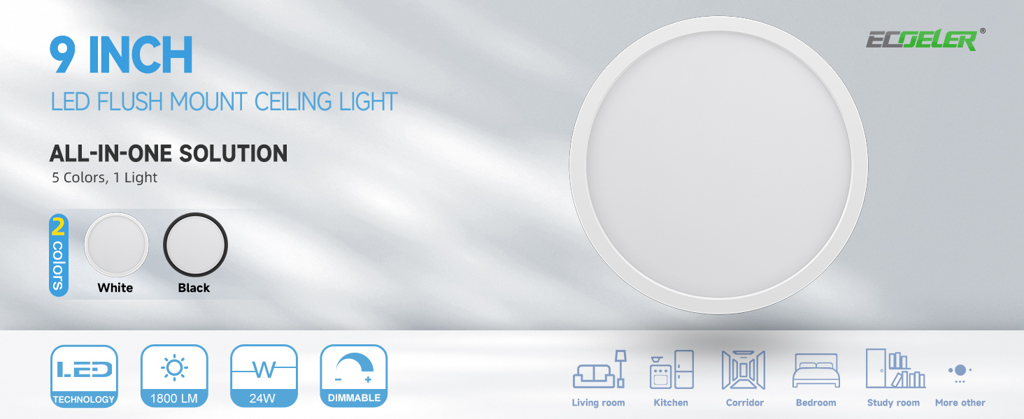 flush mount ceiling light