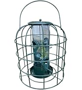Garden Guru Squirrel Proof Bird Feeder – Outdoor Caged Tube Hanging Bird Feeder with 4 Perches fo...