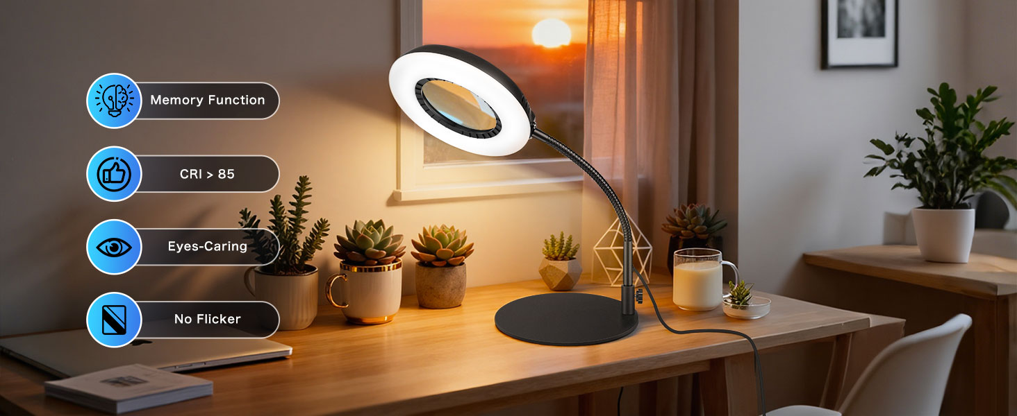 0362-magnifying glass with light