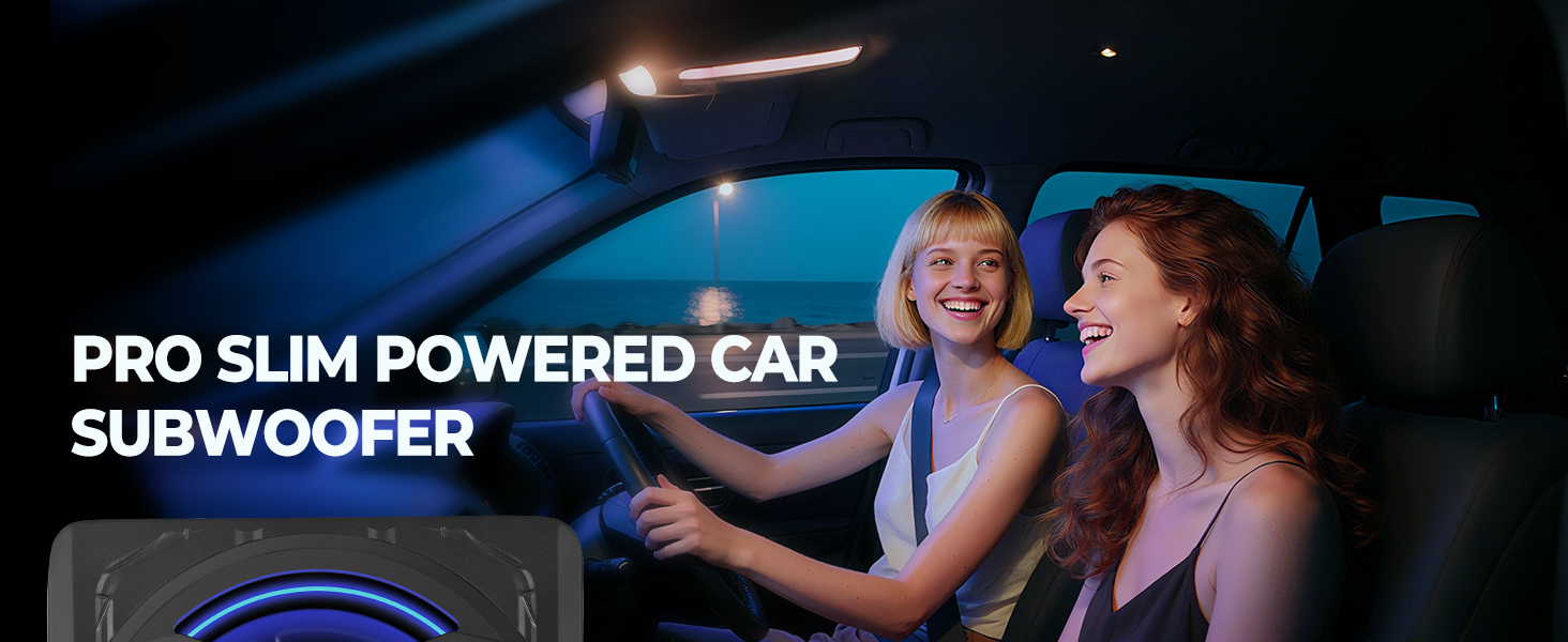 Car Subwoofer