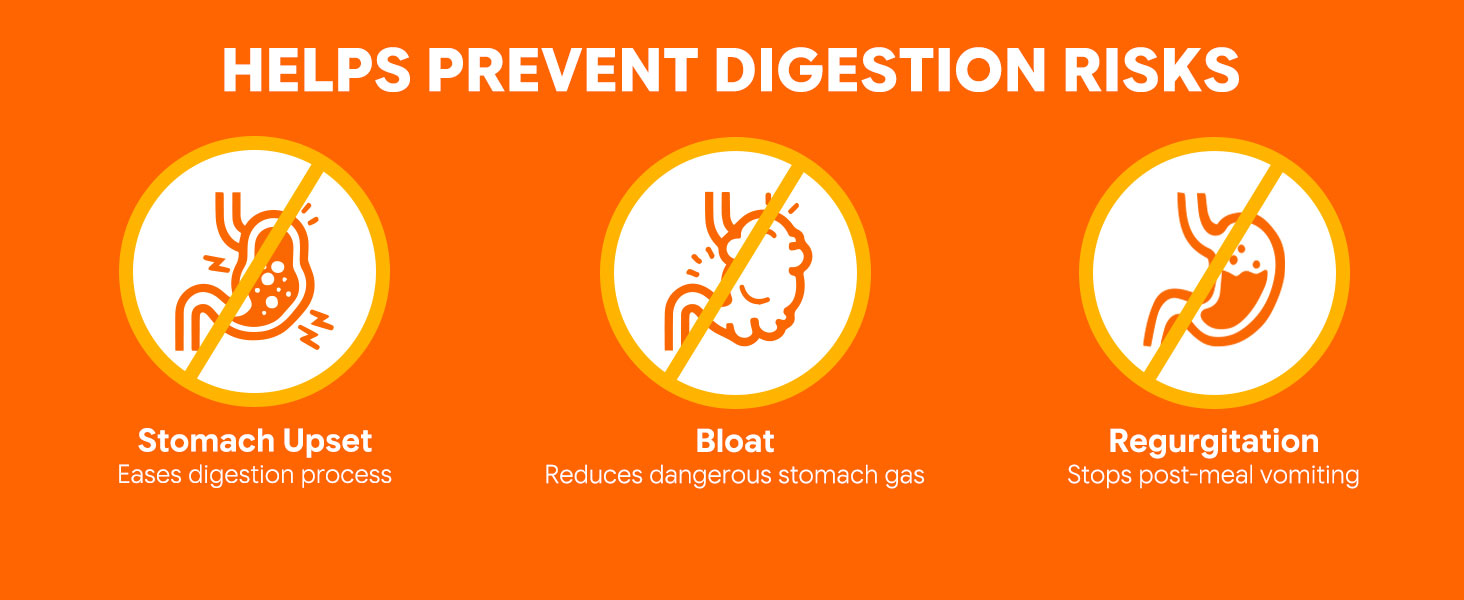 Prevent dog bloat stomach upset and regurgitation puzzle bowl