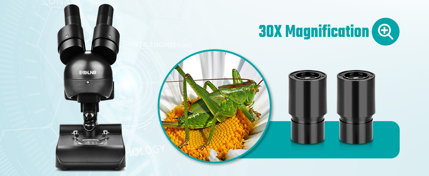 Mounted Binocular Stereo Microscope