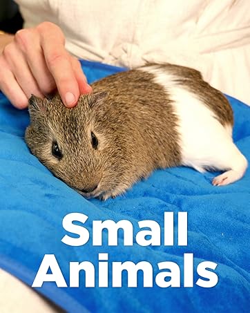 Paw Inspired, Small Animals Products