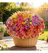 DealBeta Artificial Flowers Faux Plants Outdoor, 18 Bundles Plastic Faux Flower with Eucalyptus L...
