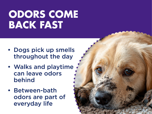 Odors come back fast