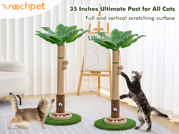 Scratching Posts for Indoor Cats 