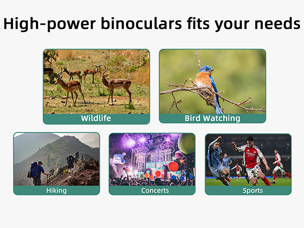 High-power binoculars fits your needs