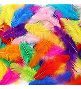 Soarer Colorful Craft Rooster Feathers - 300pcs 3-5inch Colored Feathers Bulk for Kindergarten DI...
