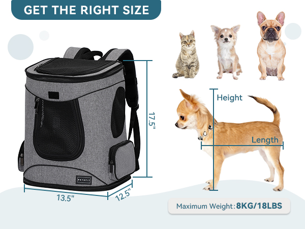 cat backpack carrier