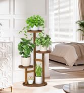 wood plant stand